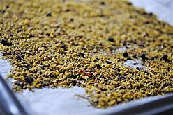 Organic Salt-Free Lemon Pepper Seasoning